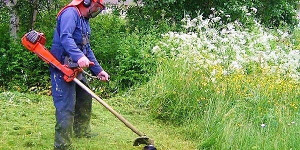 Καθαρισμός οικοπέδων και ακάλυπτων χώρων